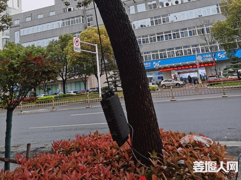 微信图片_20240403141037.jpg
