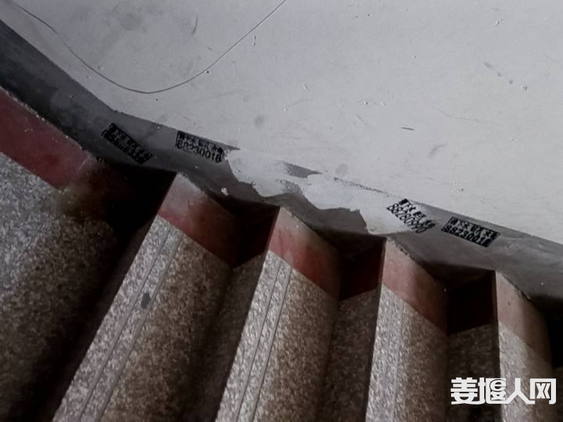 qi_niu_1714032304073_829_829_829.jpg