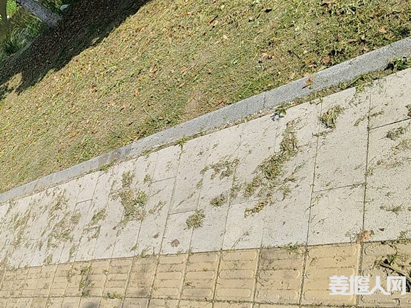 qi_niu_1714118812314_659_659_659.jpg