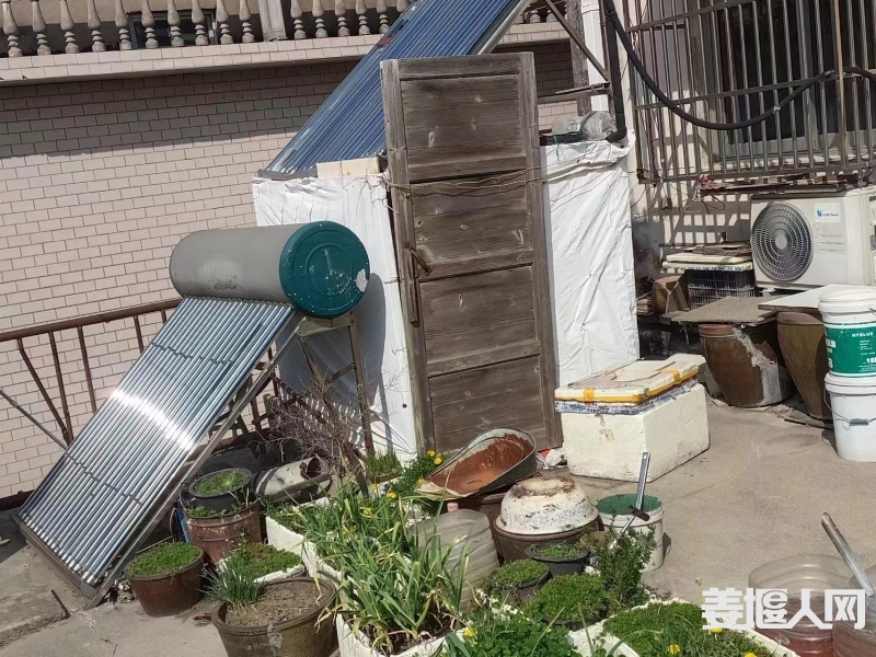 qi_niu_1716298689496_809_809_809.jpg