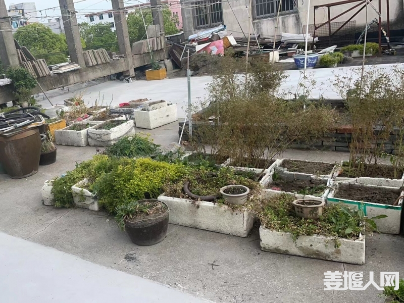 qi_niu_1716298691964_377_377_377.jpg