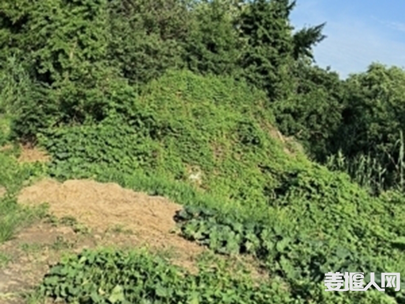 172406ywbnaei3bislenjw.jpg