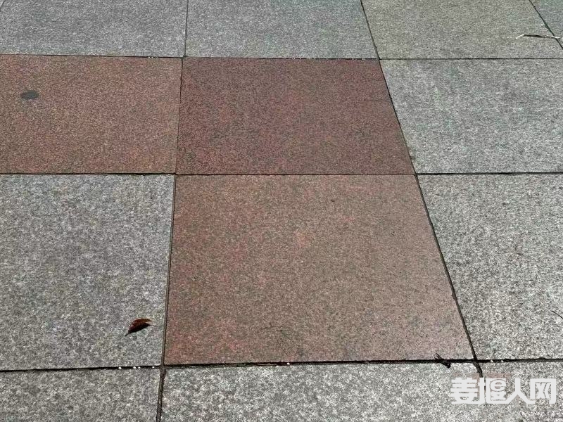 微信图片_20240629172624.jpg