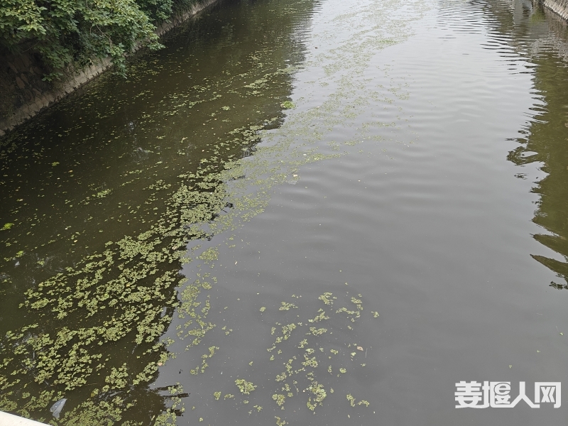 qi_niu_1719551385514_476_476_476.jpg