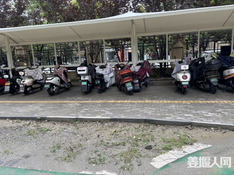 qi_niu_1719713421752_38_38_38.jpg