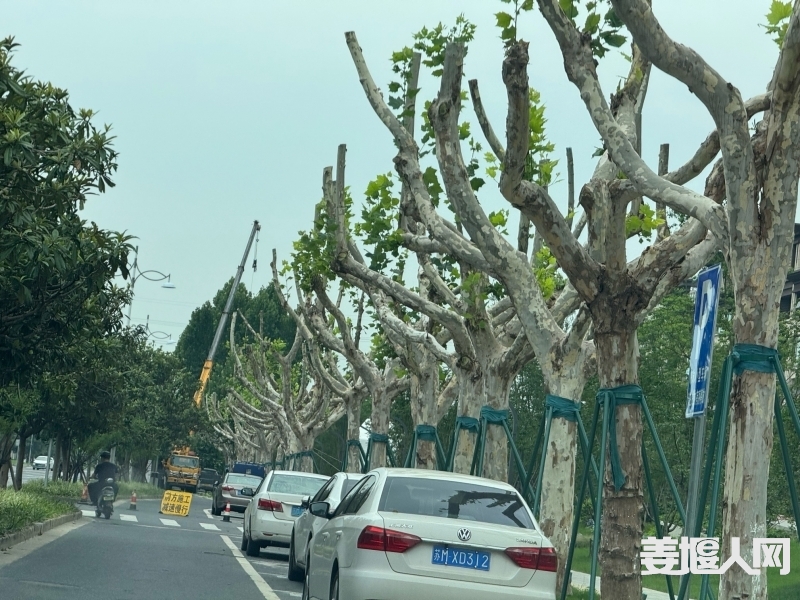 1721190691609516235.jpg