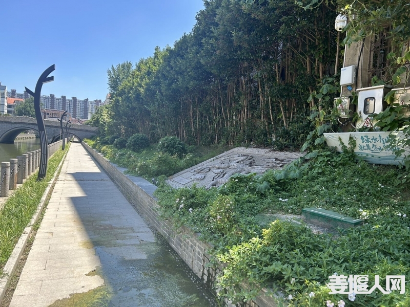 qi_niu_1722238119409_905_905_905.jpg