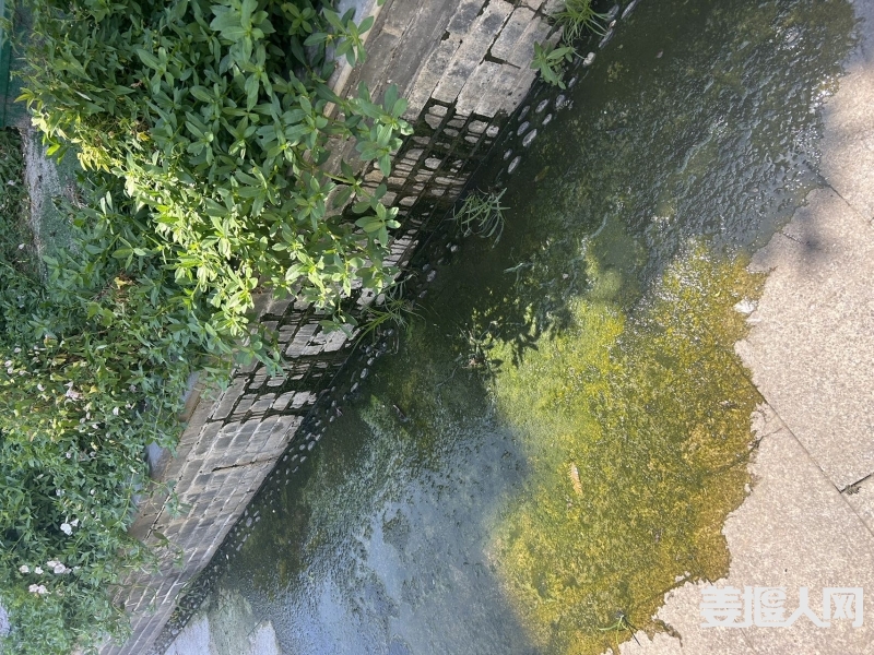 qi_niu_1722238126378_129_129_129.jpg