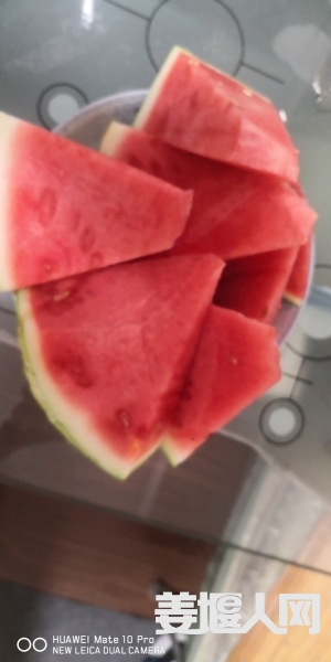 1723026047358380_543.jpg