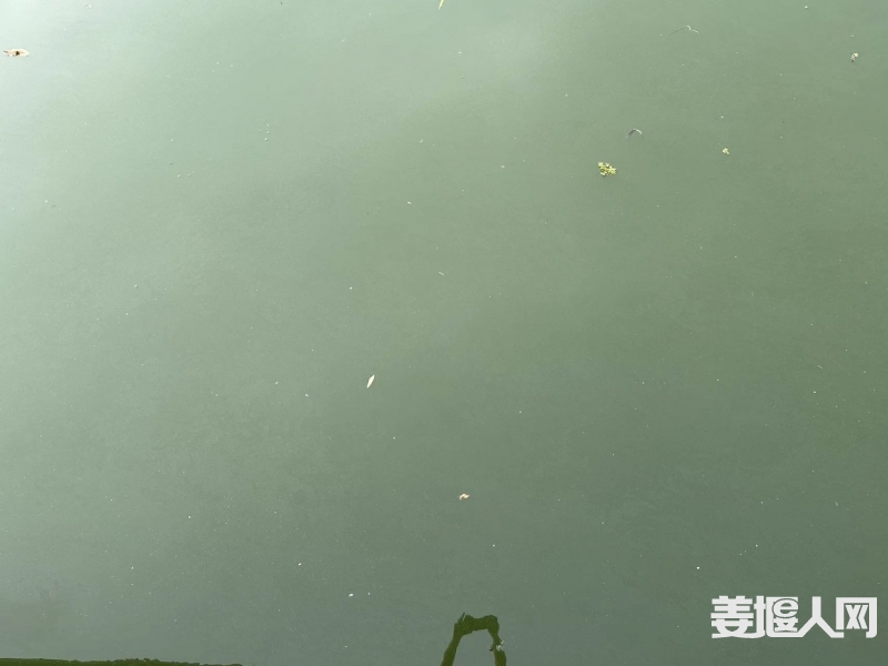 微信图片_20240810175418.jpg