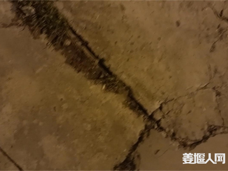 205411q88a88d8ozhetixk.jpg