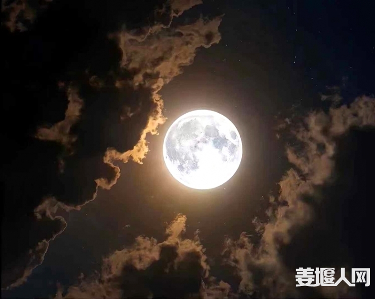 微信图片_20240917201852(1).jpg