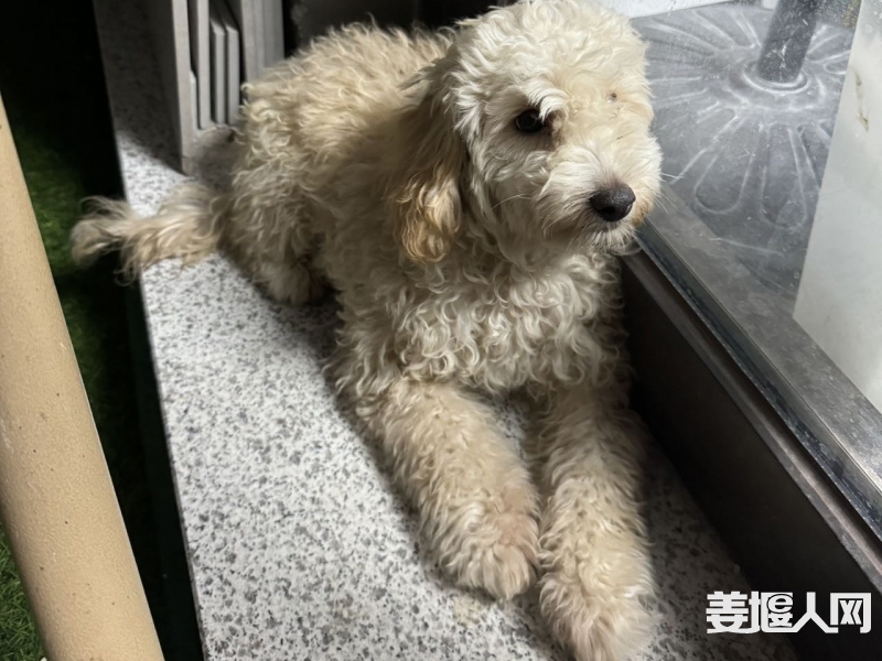 qi_niu_1726978417639_744_744_744.jpg