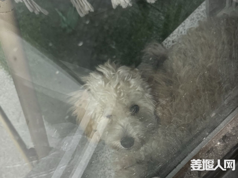 qi_niu_1726978411875_764_764_764.jpg