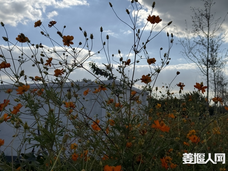 微信图片_20240923143833.jpg