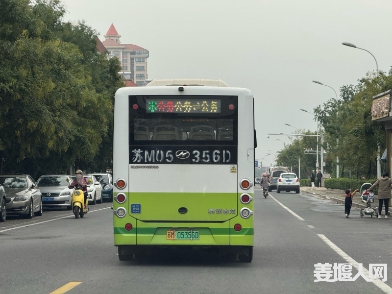 1729550084435333846.jpg