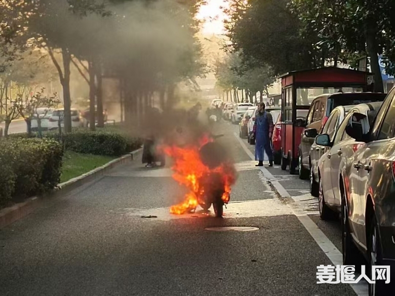 微信图片_20241031090733.jpg