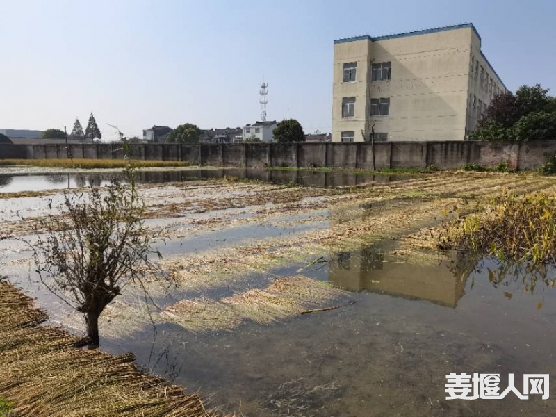qi_niu_1730688353526_516_516_516.jpg