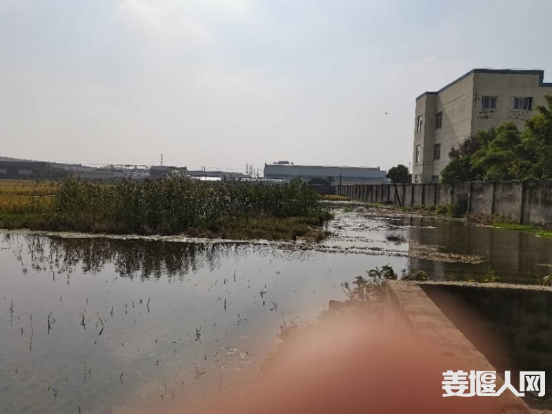 qi_niu_1730688354363_295_295_295.jpg