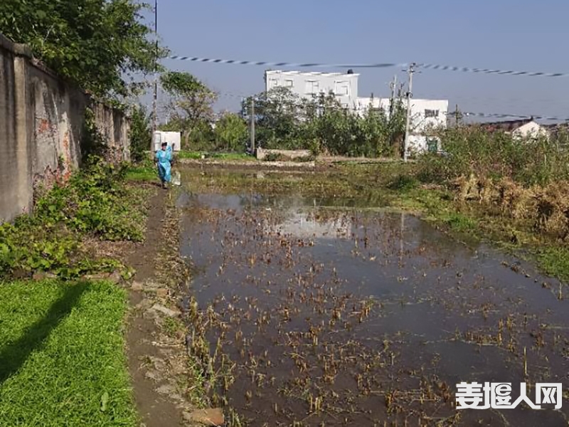 qi_niu_1730688357701_462_462_462.jpg