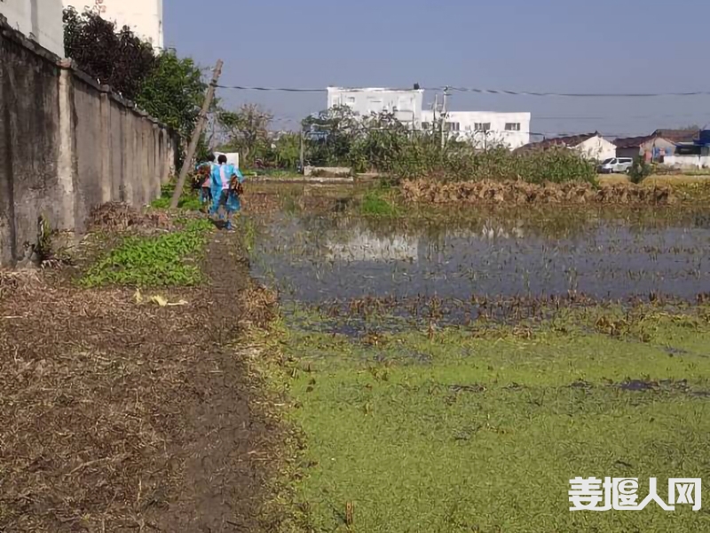 qi_niu_1730688359502_291_291_291.jpg