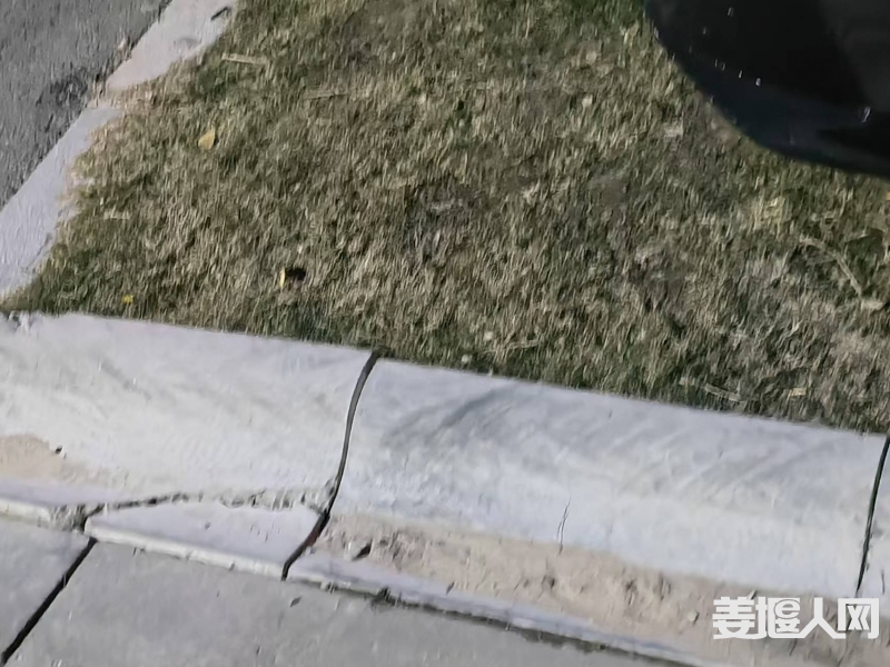 微信图片_20241106195636.jpg