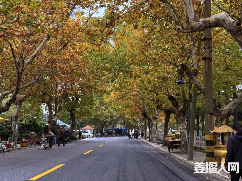 微信图片_20241109150107.jpg