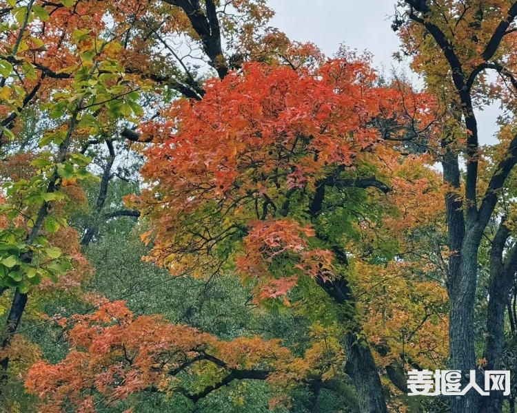 20241111172946front2_0_1502973_FhsguQRI-ervnrQHaVOUfHRw90ht.jpg
