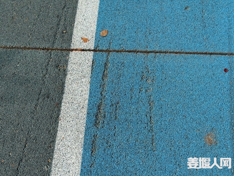 1731387754850358501.jpg