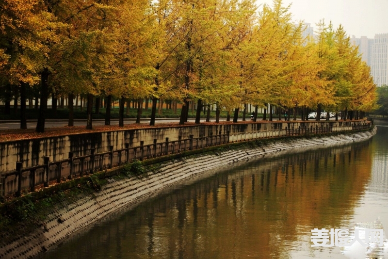 222939lqhnyuudynln6swh.jpg