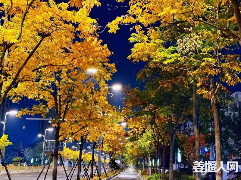 微信图片_20241121202259.jpg