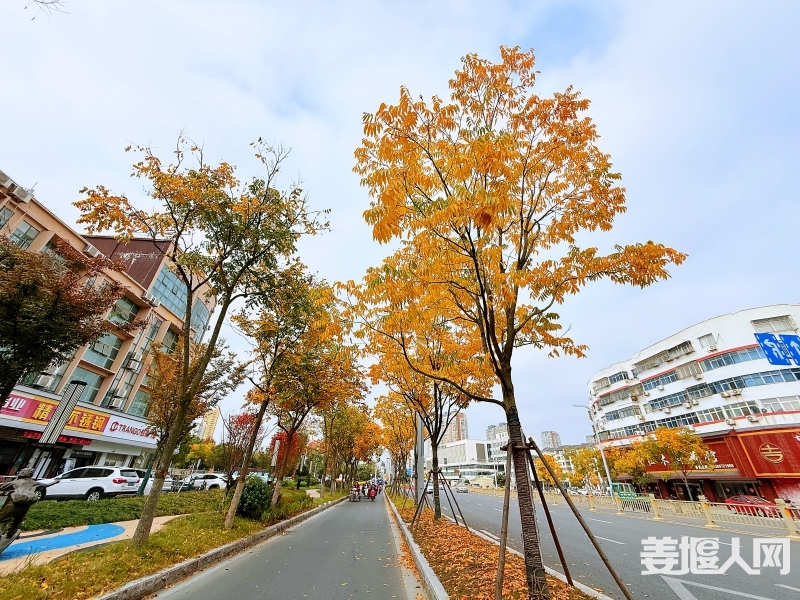微信图片_20241121202301.jpg