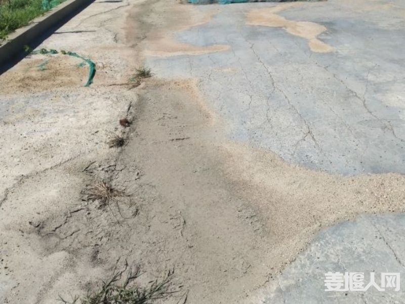 qi_niu_1732500135150_322_322_322.jpg