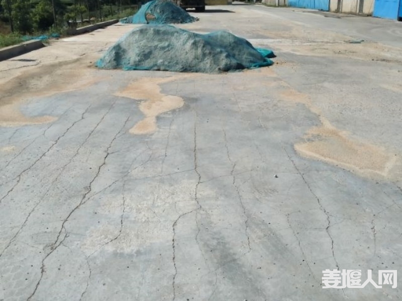 qi_niu_1732500136071_234_234_234.jpg