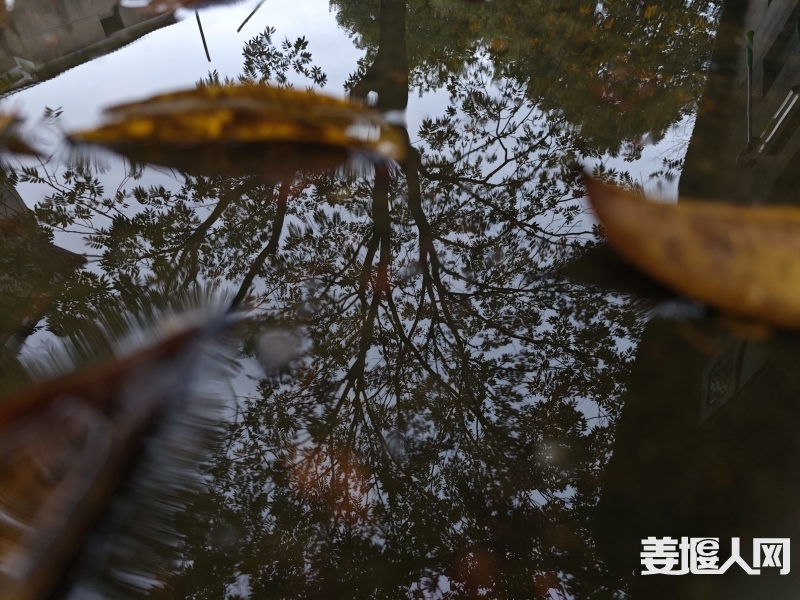 d5f2a0a9ac26e6177b1c182e8b3971a2.jpg