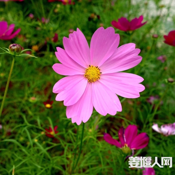 ef3a9832312a6f5e624f6375046f33d3.jpg