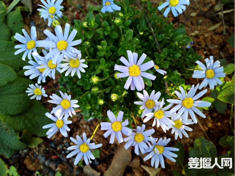 e3ece233d02c46415cdb209aebb1811e.jpg