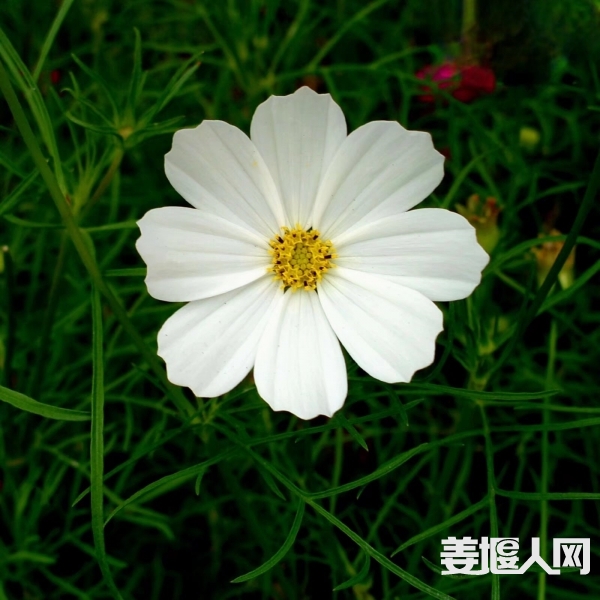 ef15c18265a72b5defbf1f66c1e8e158.jpg