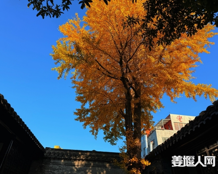微信图片_20241129163127.jpg