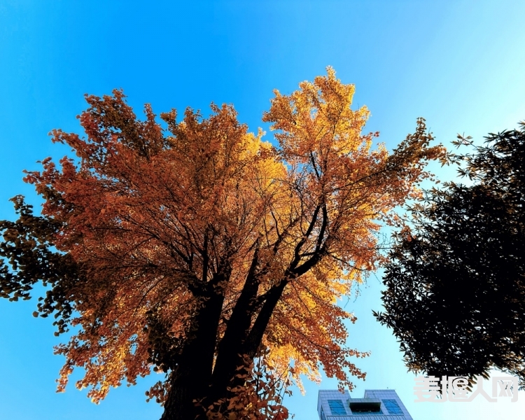 微信图片_20241129163124.jpg