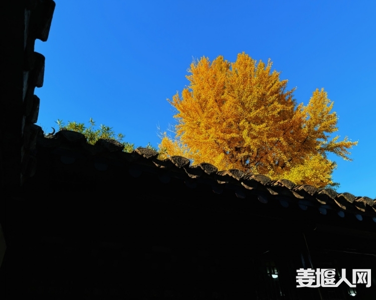 微信图片_20241129163138.jpg