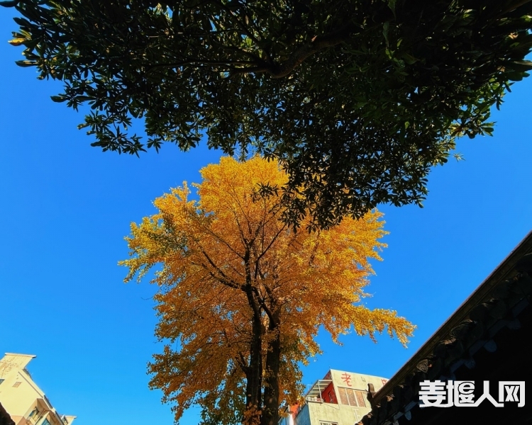 微信图片_20241129163141.jpg