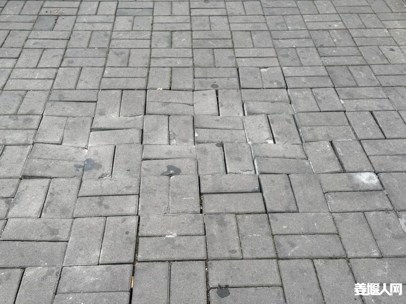 1739838311668637512.jpg