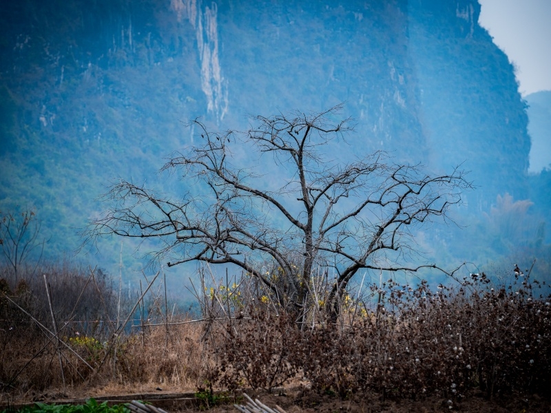 0998b064a234ac61a12843b2**a96fd.jpg