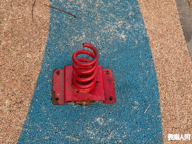 1740871425537053230.jpg