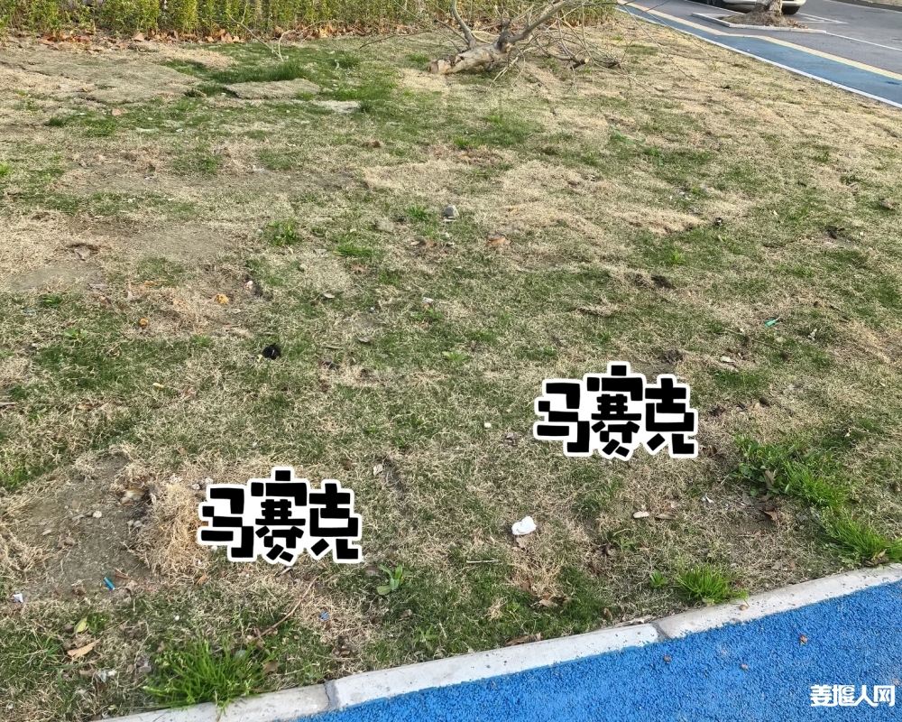 1742861181864330_248.jpg