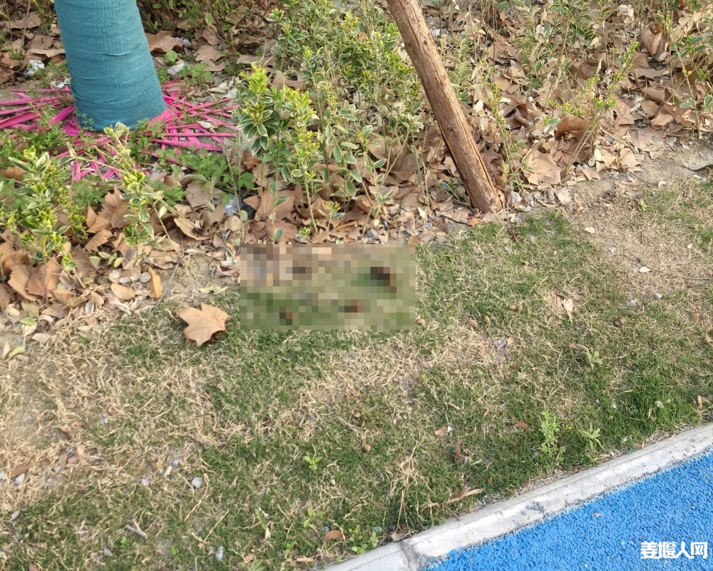 1742861182351120_192.jpg