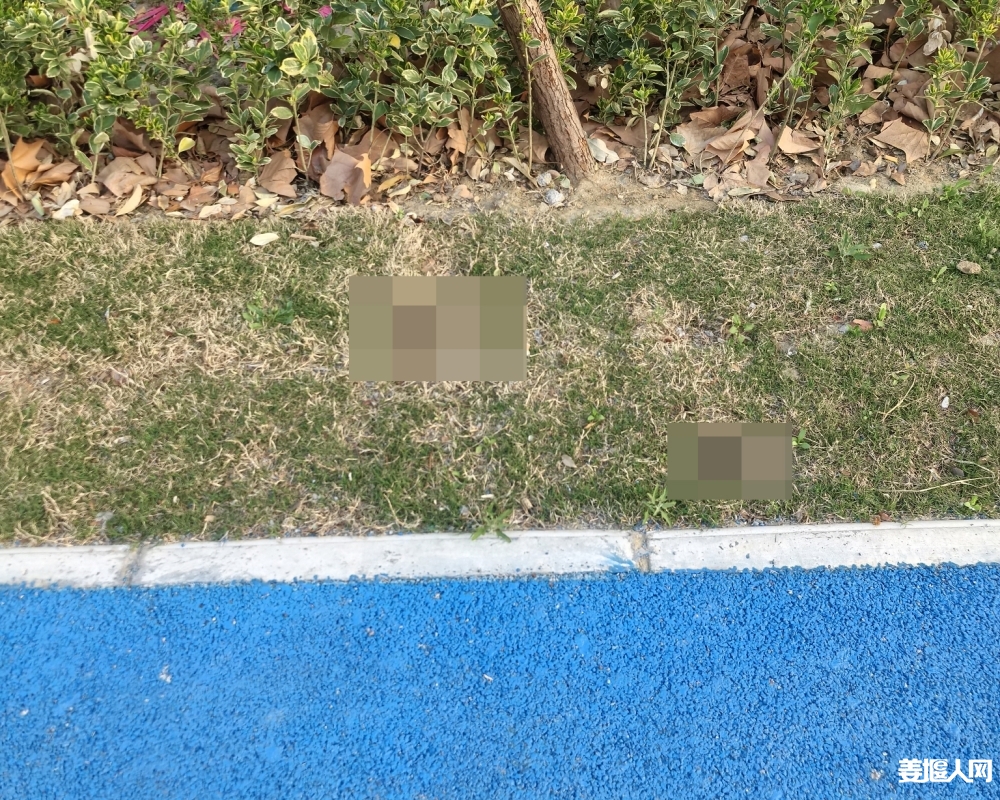 1742861183929427_961.jpg