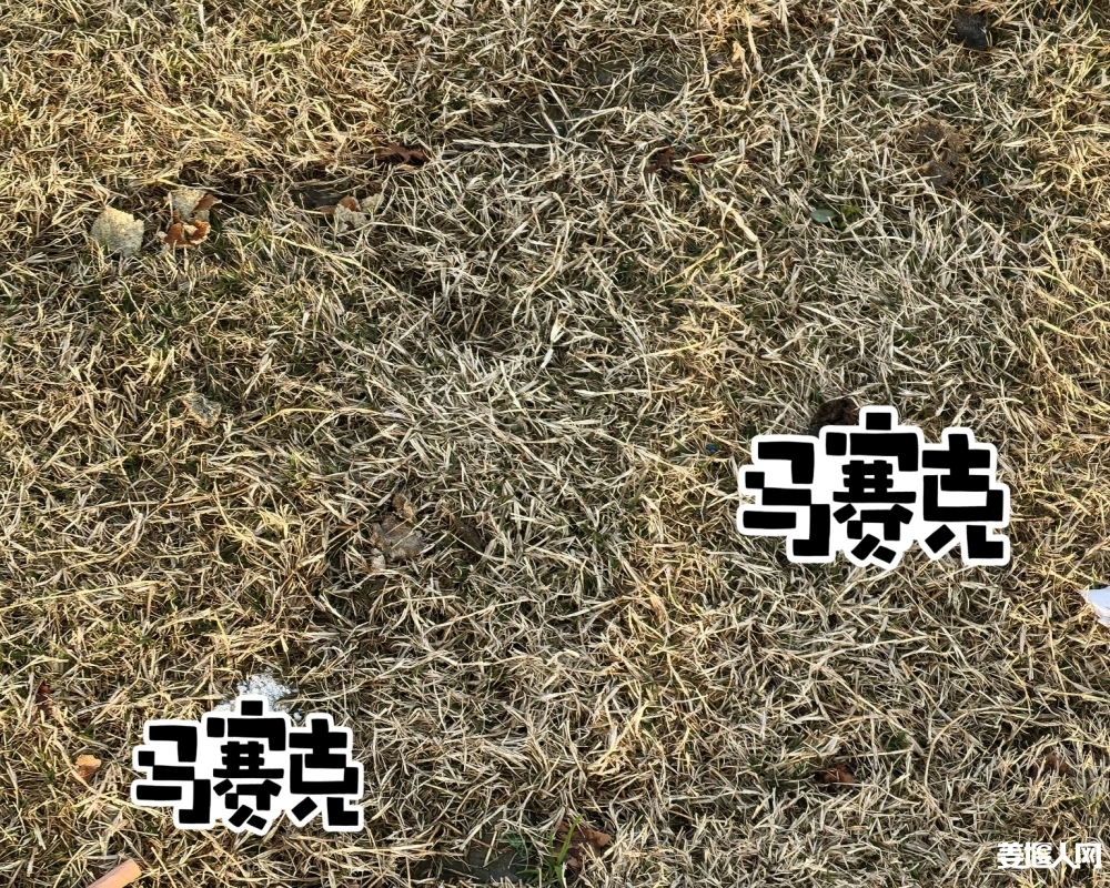 1742861184553146_654.jpg
