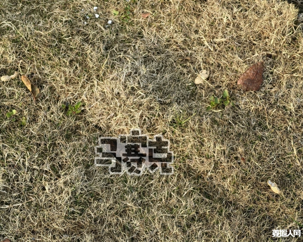 1742861185161160_607.jpg